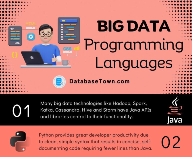 Programming Languages for Big Data