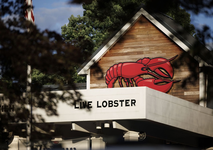 Best 7 Red Lobster TGI Fridays Closing: What You Need to Know 1 Red Lobster TGI Fridays Closing