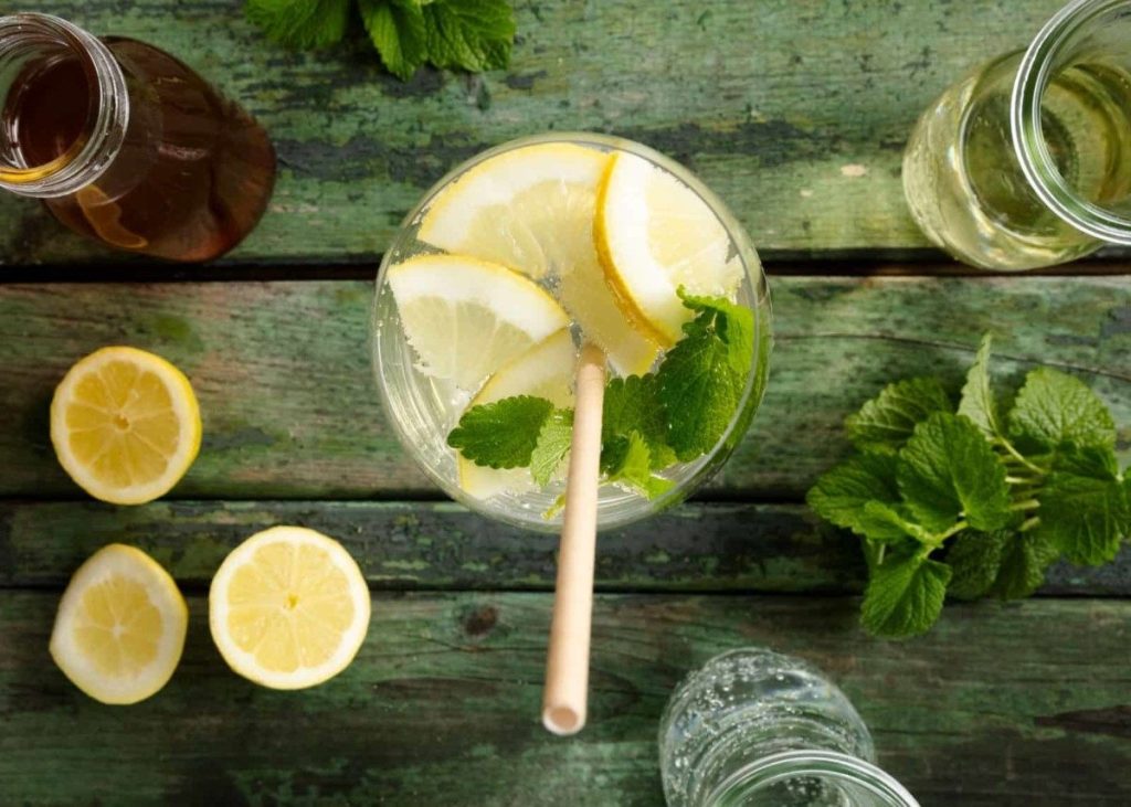 5 Delicious Lemon Balm Recipes You Must Try 3