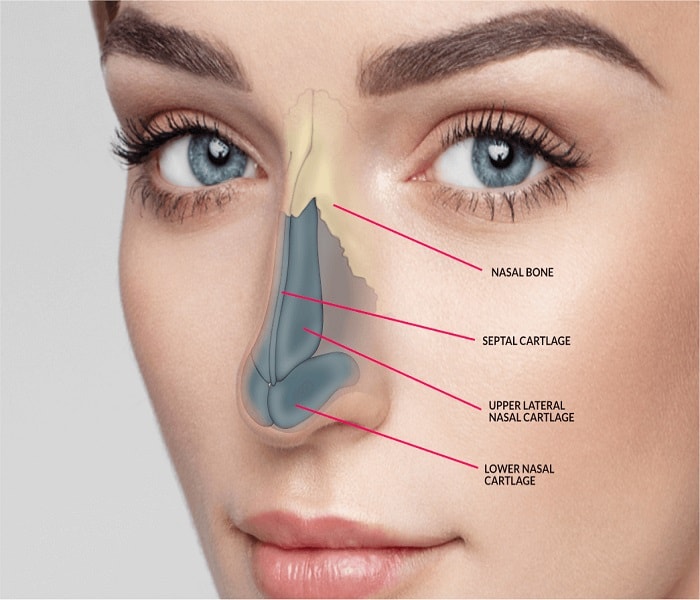 Rhinoplasty Costs