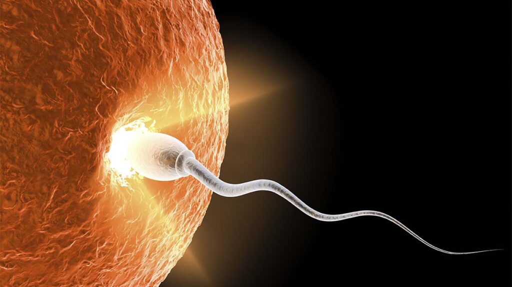 Sperm Cramps