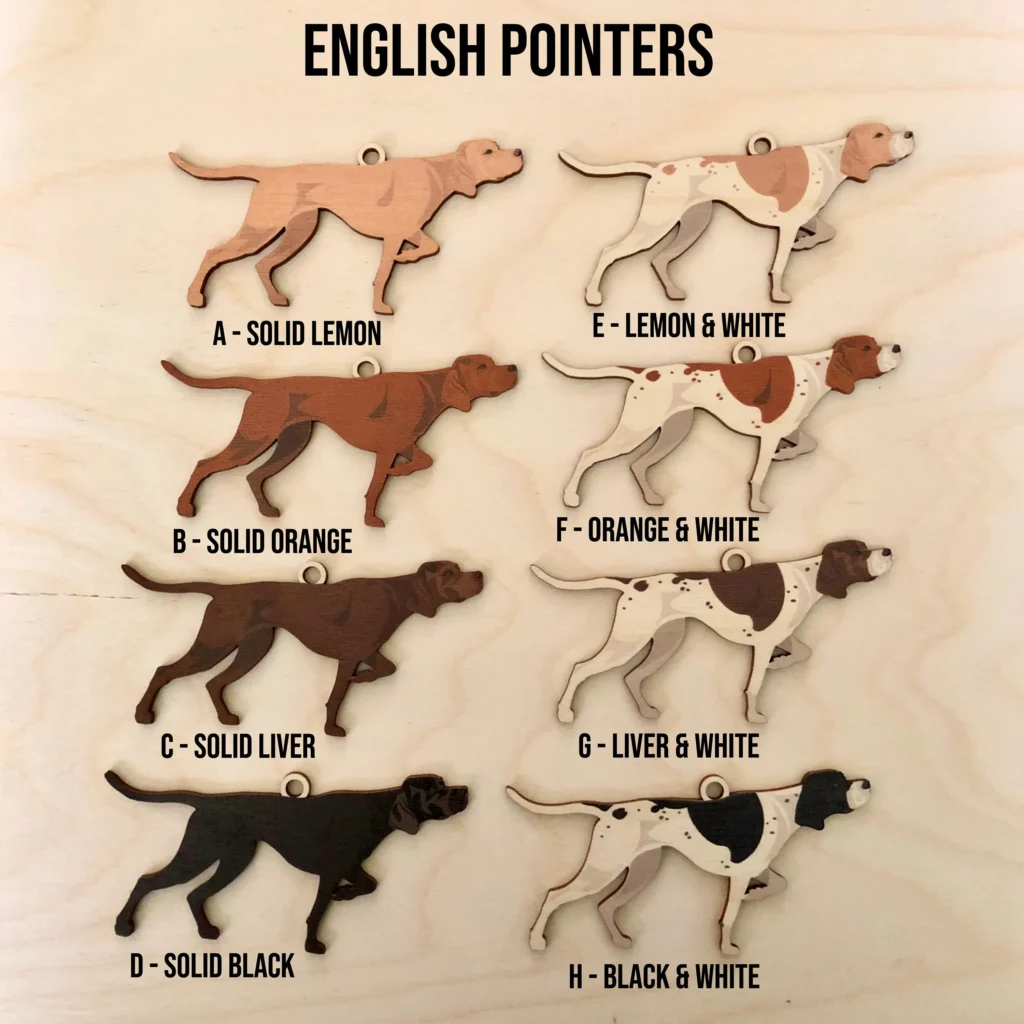 5 Easy Ways You Can Turn ENGLISH POINTER Into Success in 2025 3 ENGLISH POINTER