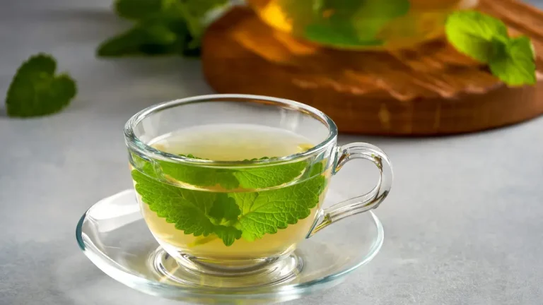 Lemon Balm Recipes