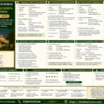MBBS Doctor Female Rishta in Rawalpindi