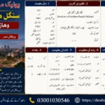 Single Male Rishta in Vehari